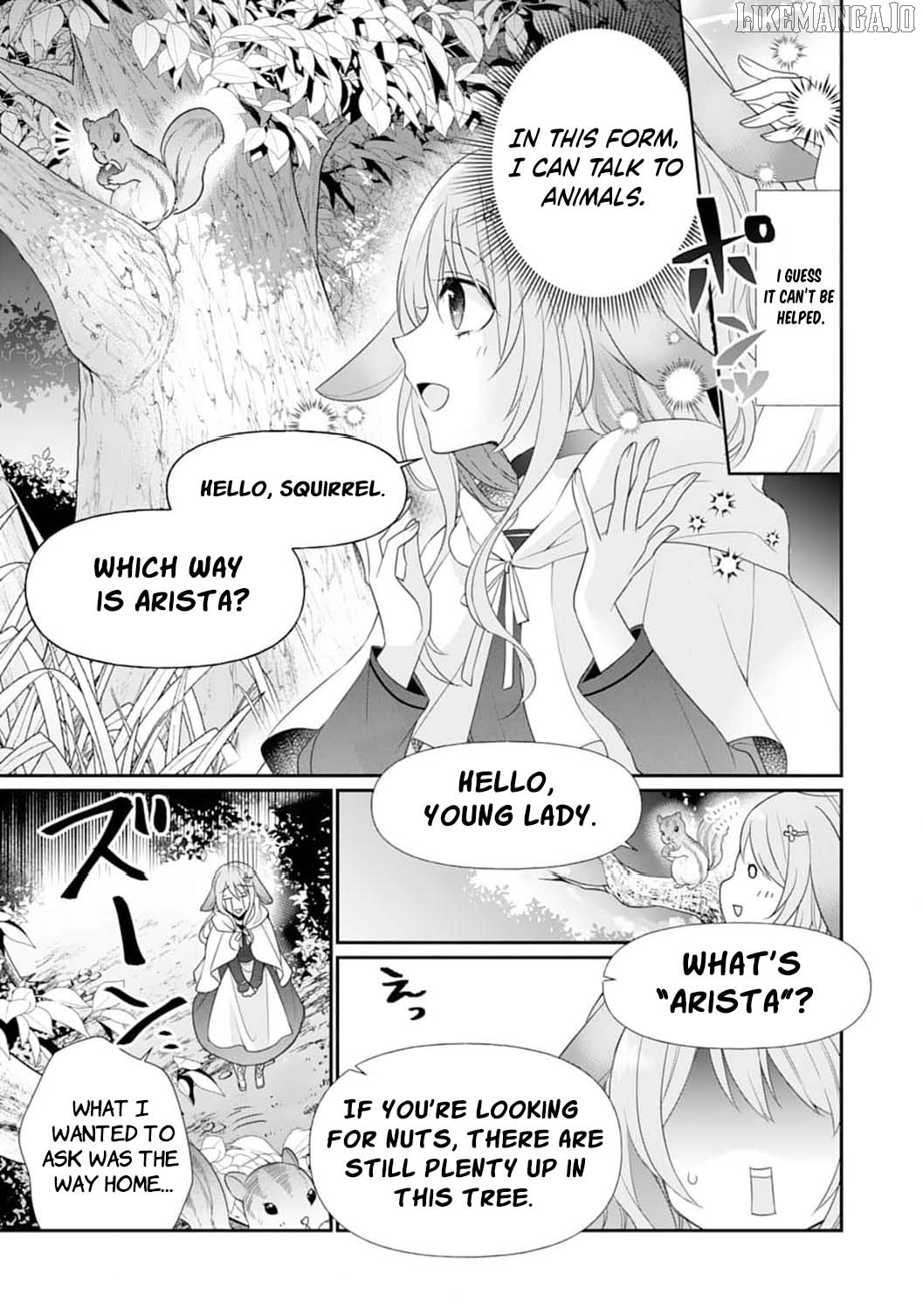 The Dragon King’s Fluffy Caretaker Chapter 2 - page 23