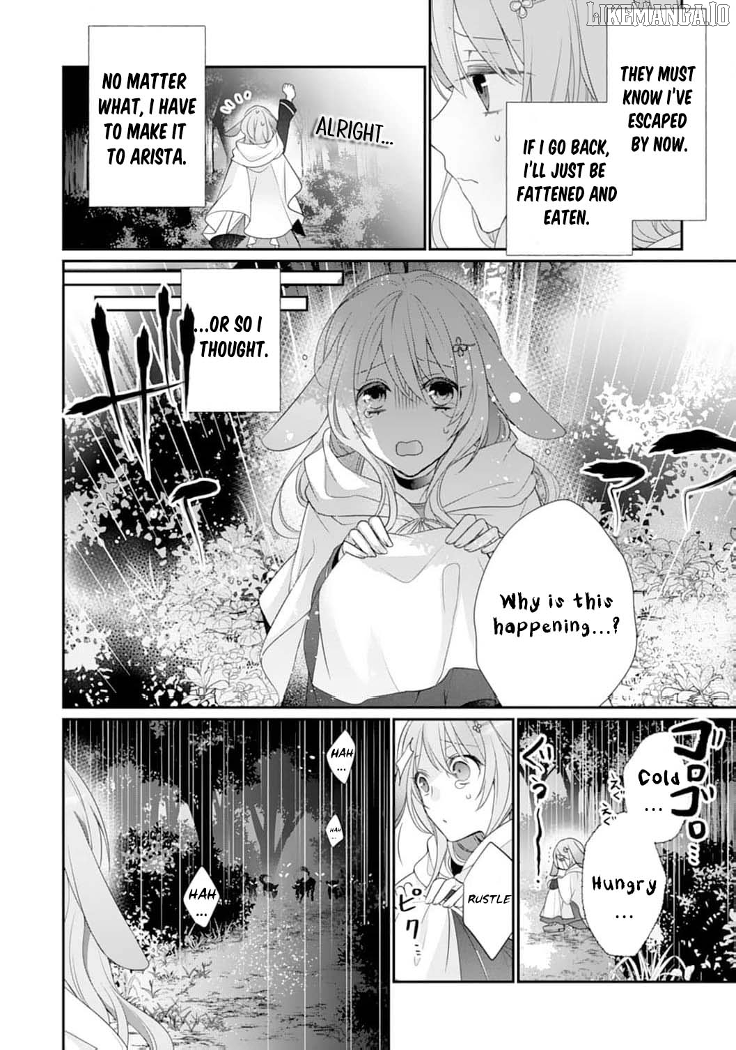 The Dragon King’s Fluffy Caretaker Chapter 2 - page 24