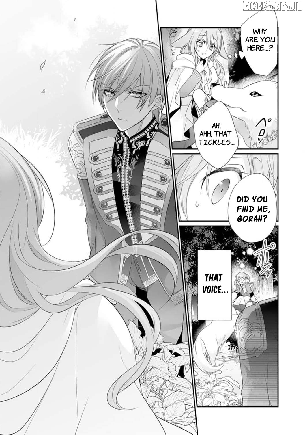 The Dragon King’s Fluffy Caretaker Chapter 2 - page 27