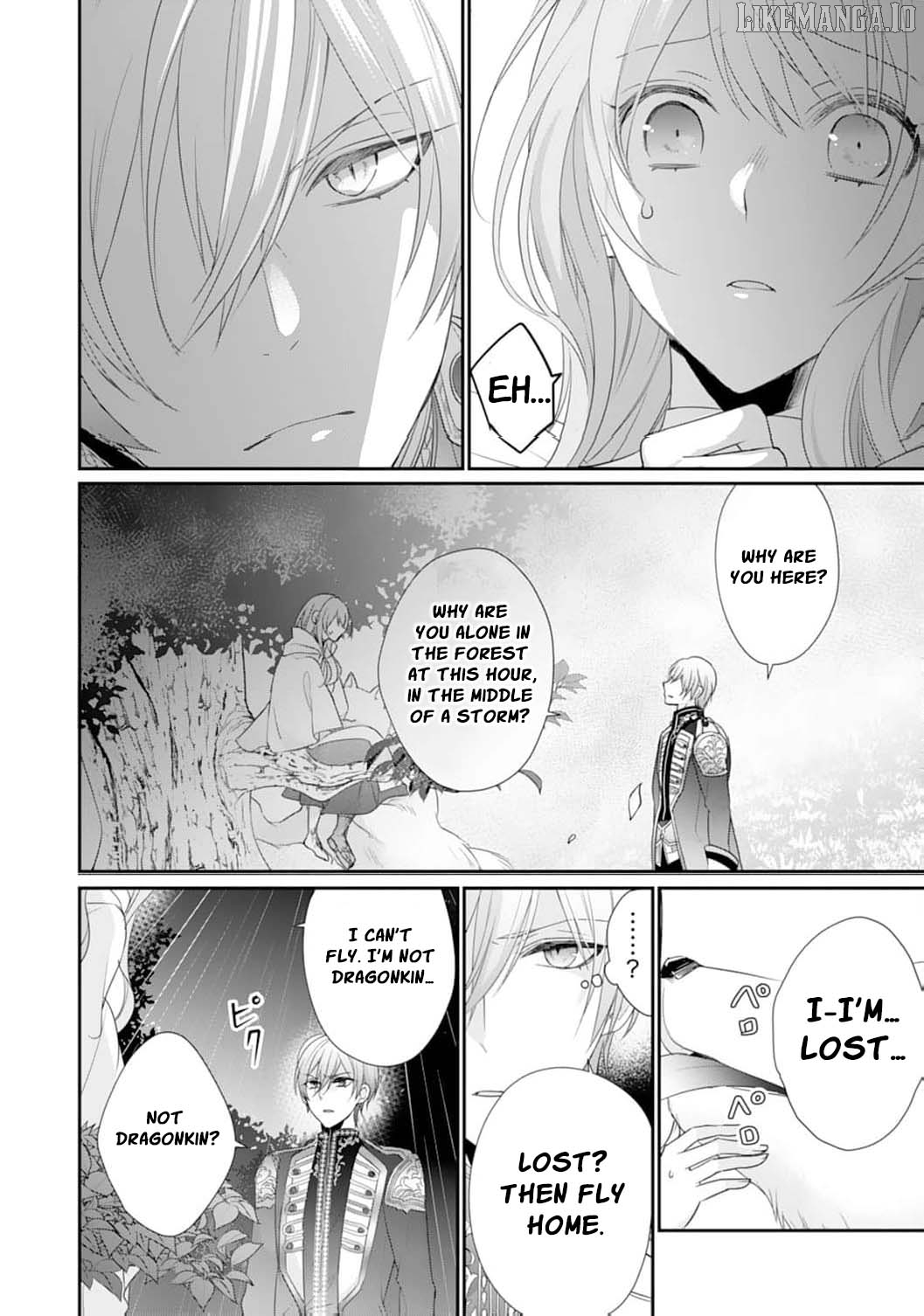 The Dragon King’s Fluffy Caretaker Chapter 2 - page 28