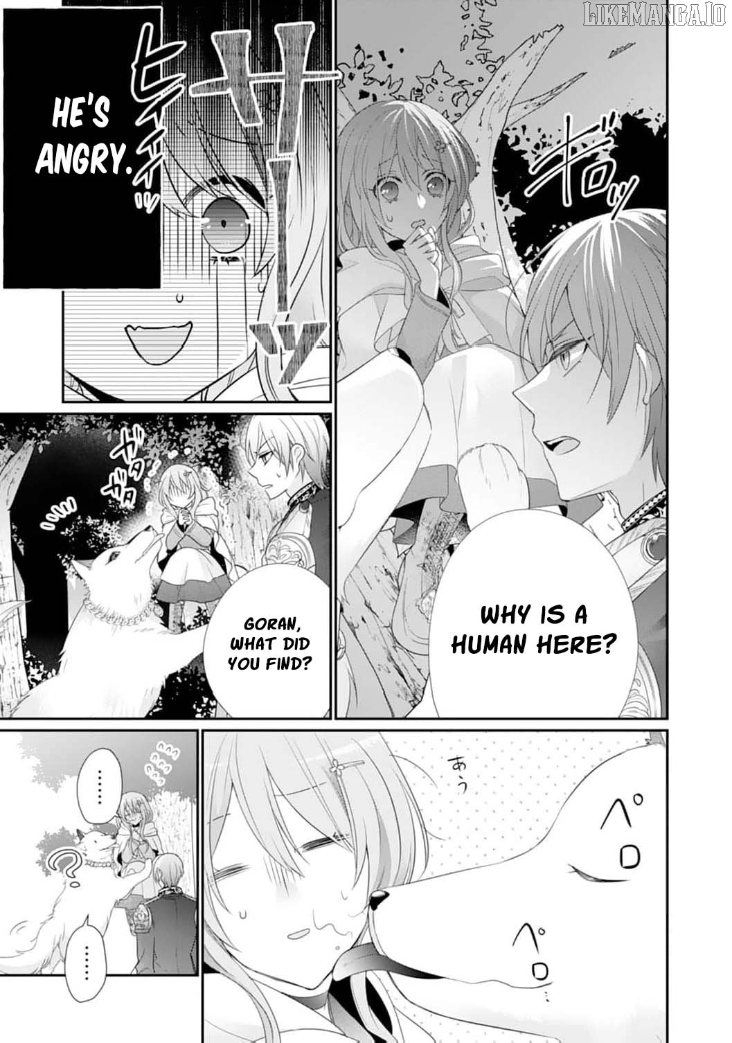 The Dragon King’s Fluffy Caretaker Chapter 2 - page 29