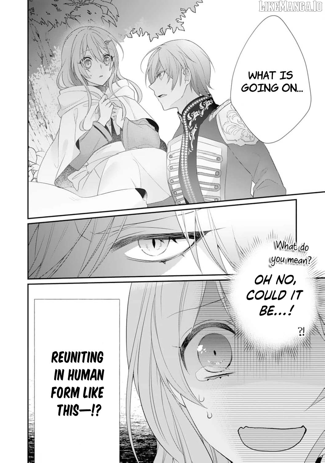 The Dragon King’s Fluffy Caretaker Chapter 2 - page 30