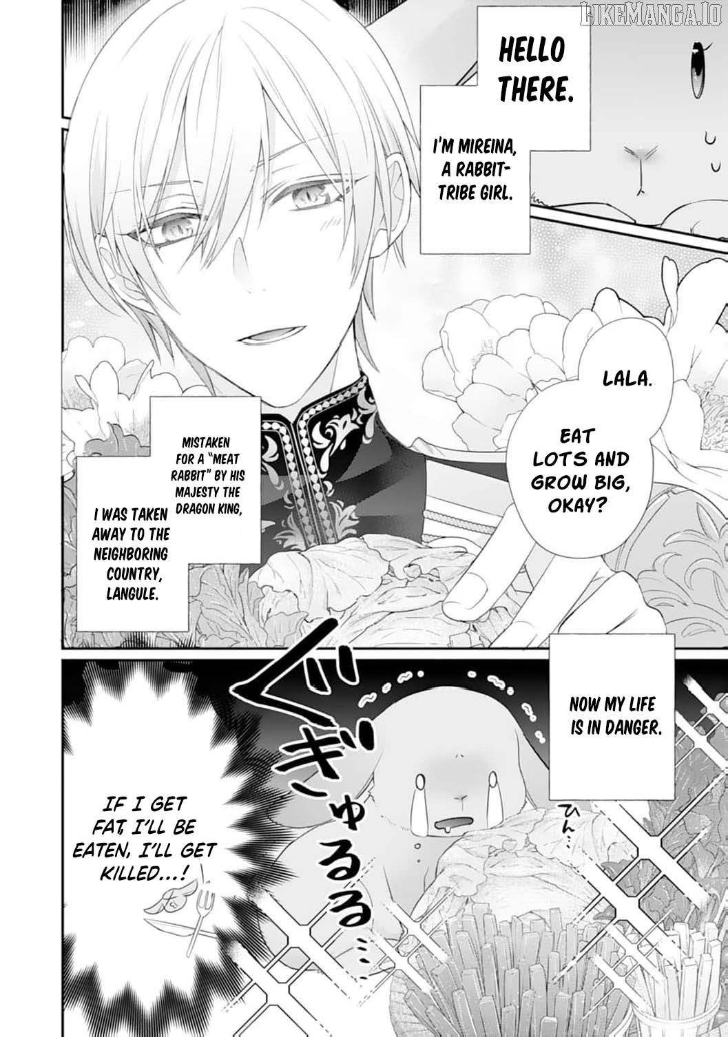 The Dragon King’s Fluffy Caretaker Chapter 2 - page 6