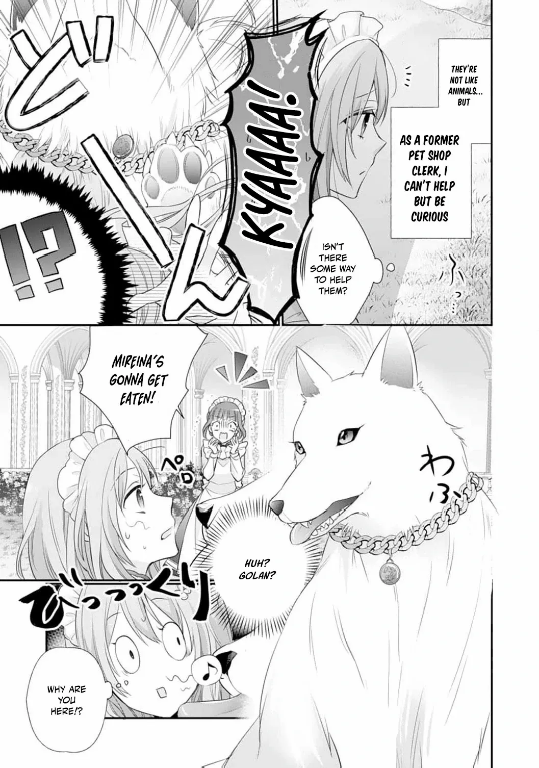 The Dragon King’s Fluffy Caretaker Chapter 4 - page 13