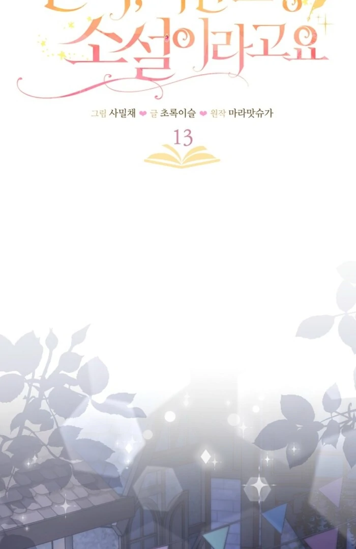 Your Highness, This Is Just a Novel Chapter 13 - page 18