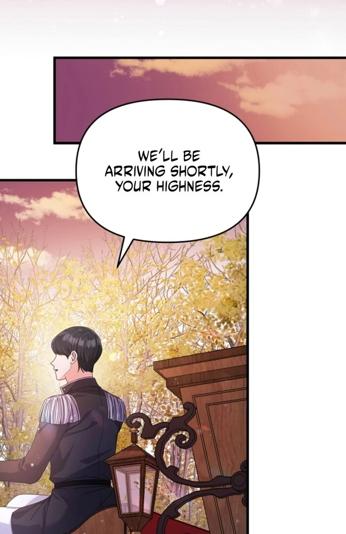 Your Highness, This Is Just a Novel Chapter 6 - page 92