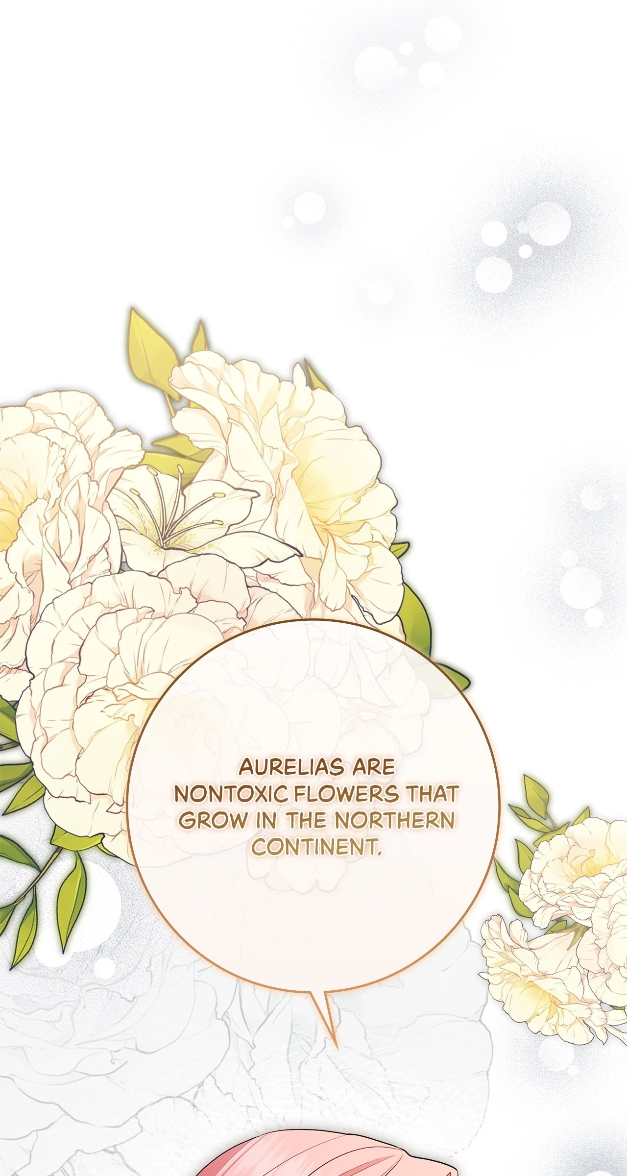 The Beloved Gardener of the World Tree Chapter 11 - page 80