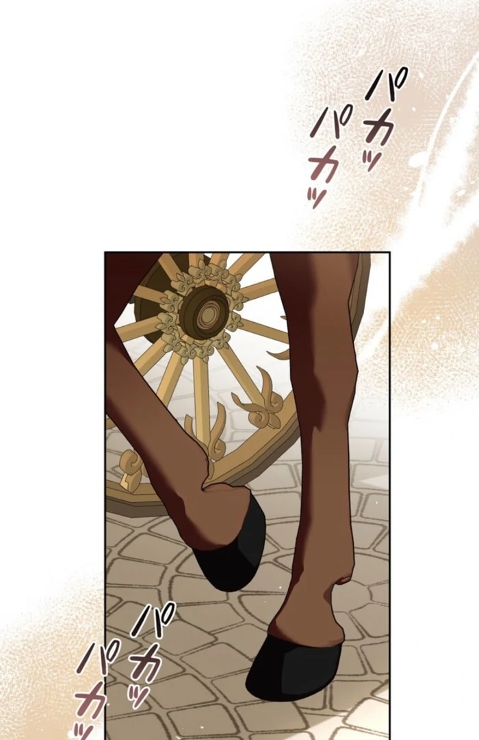 Although She is a Failed Princess, She is Loved by The Grand Duke in this Life Chapter 11 - page 69