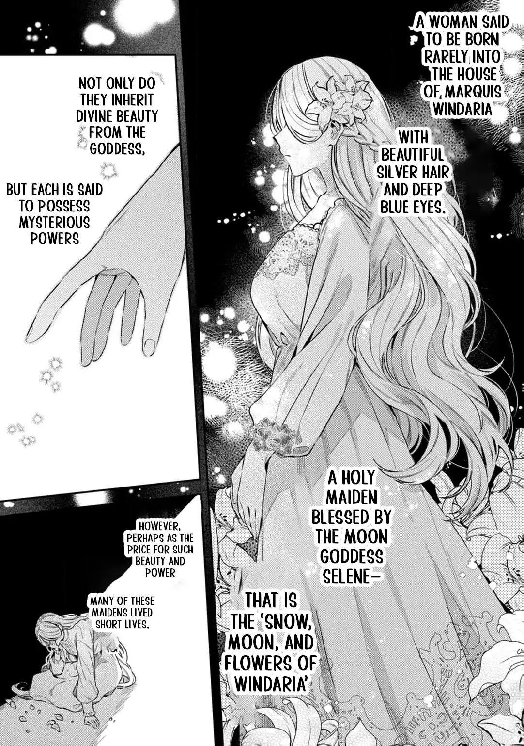 The Marquis House’s Second Daughter Hides Her Identity Chapter 3 - page 13