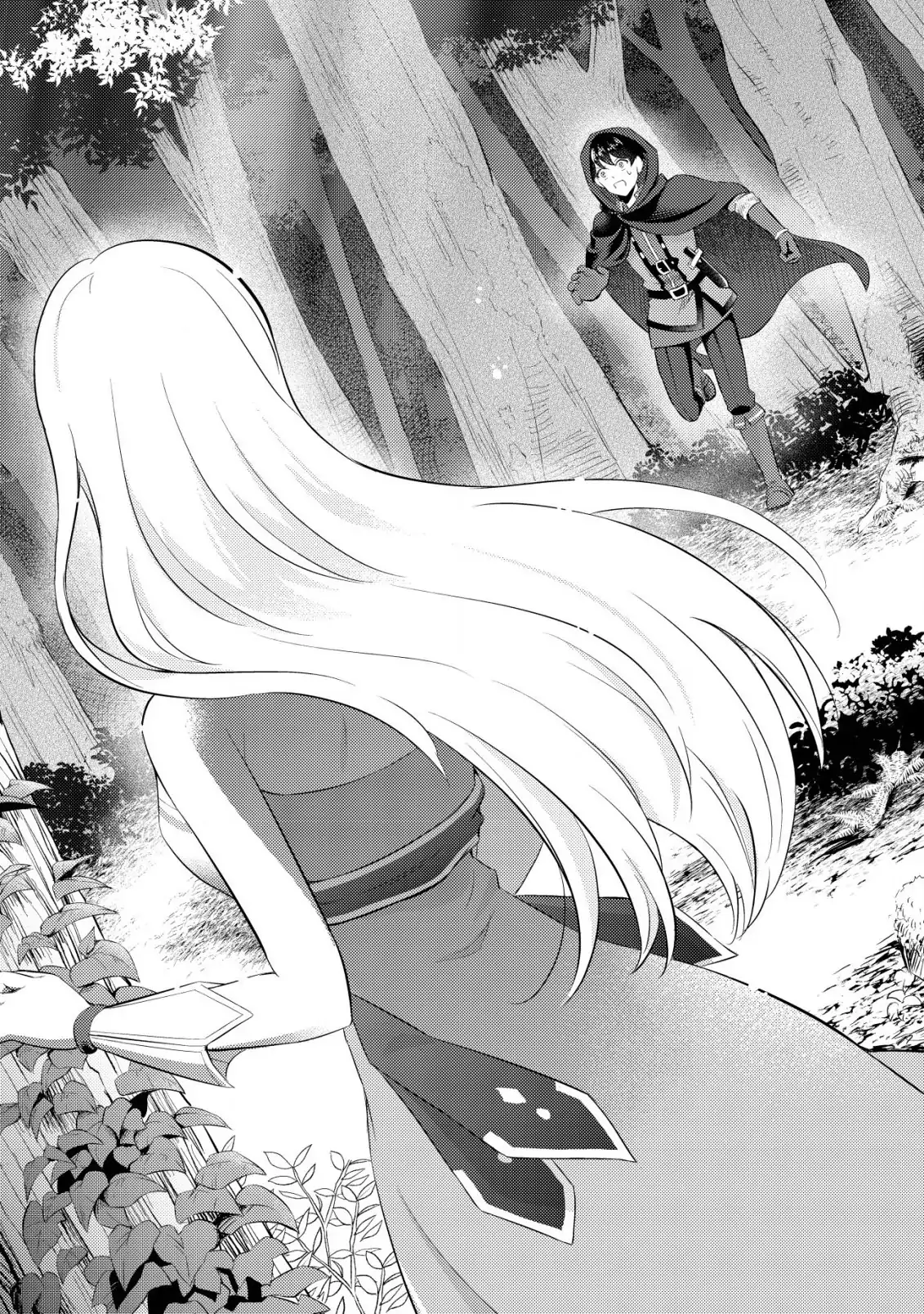 The Dragon Tamer of the Divine Dragon Empire Chapter 1 - page 27