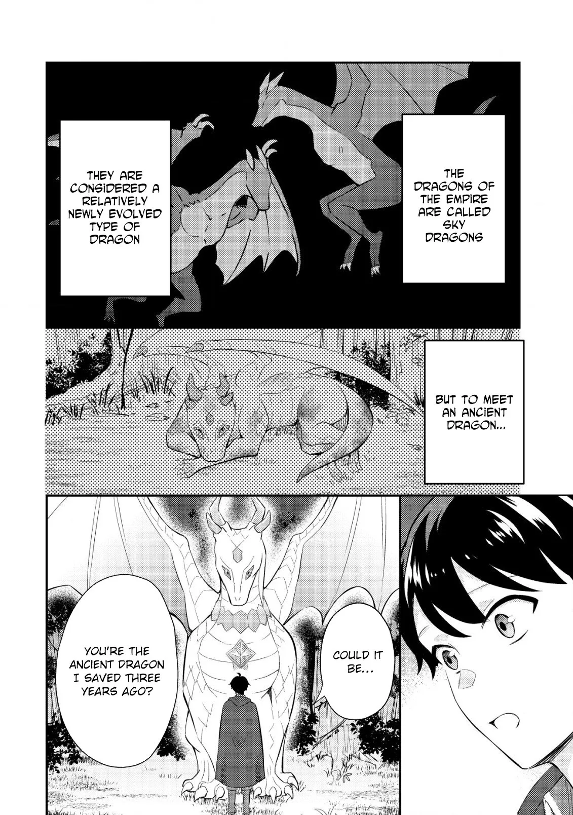The Dragon Tamer of the Divine Dragon Empire Chapter 2 - page 9