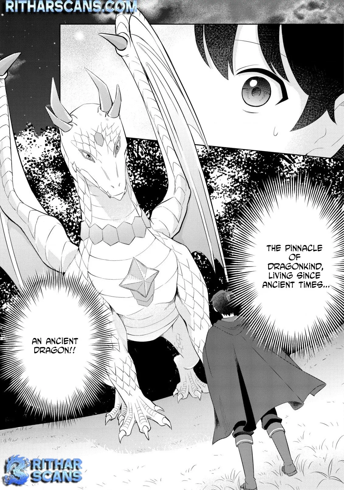 The Dragon Tamer of the Divine Dragon Empire Chapter 2 - page 8