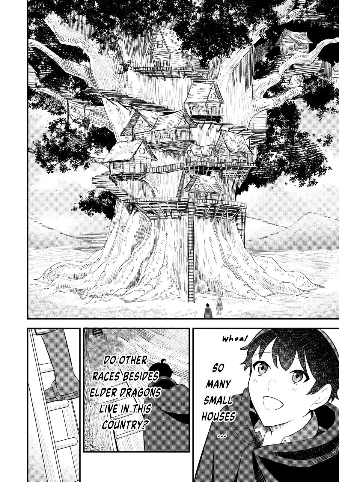 The Dragon Tamer of the Divine Dragon Empire Chapter 3 - page 12