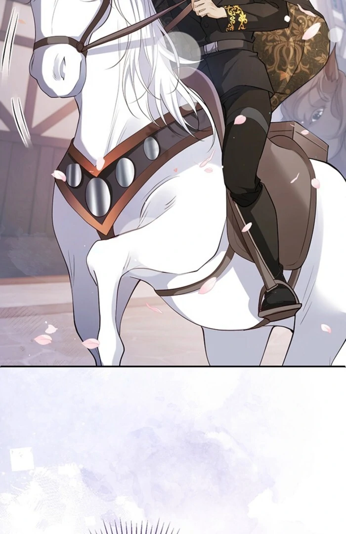 The Quiet Night You Disappeared: Nowhere to Run from the Husband I Divorce Chapter 1 - page 17