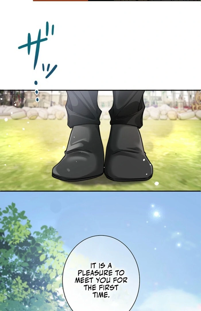 The Quiet Night You Disappeared: Nowhere to Run from the Husband I Divorce Chapter 1 - page 52