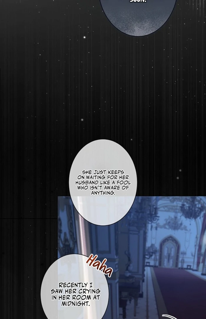 The Quiet Night You Disappeared: Nowhere to Run from the Husband I Divorce Chapter 4 - page 5