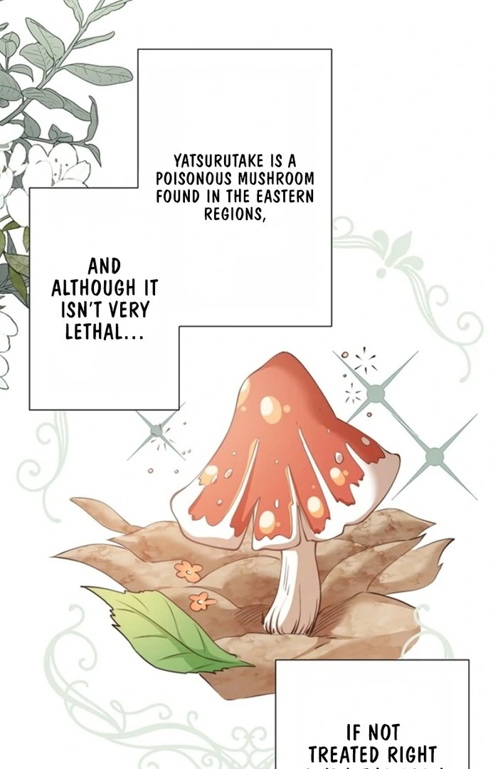 The Quiet Night You Disappeared: Nowhere to Run from the Husband I Divorce Chapter 6 - page 26