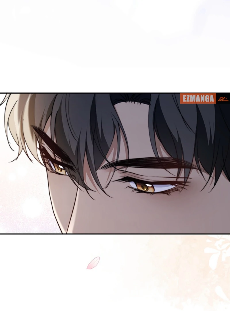 The Quiet Night You Disappeared: Nowhere to Run from the Husband I Divorce Chapter 12 - page 27