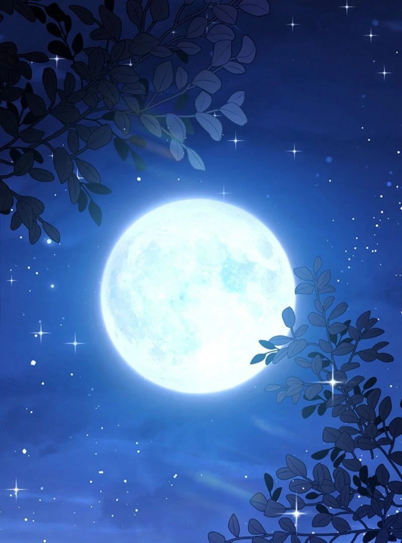 The Quiet Night You Disappeared: Nowhere to Run from the Husband I Divorce Chapter 13 - page 95