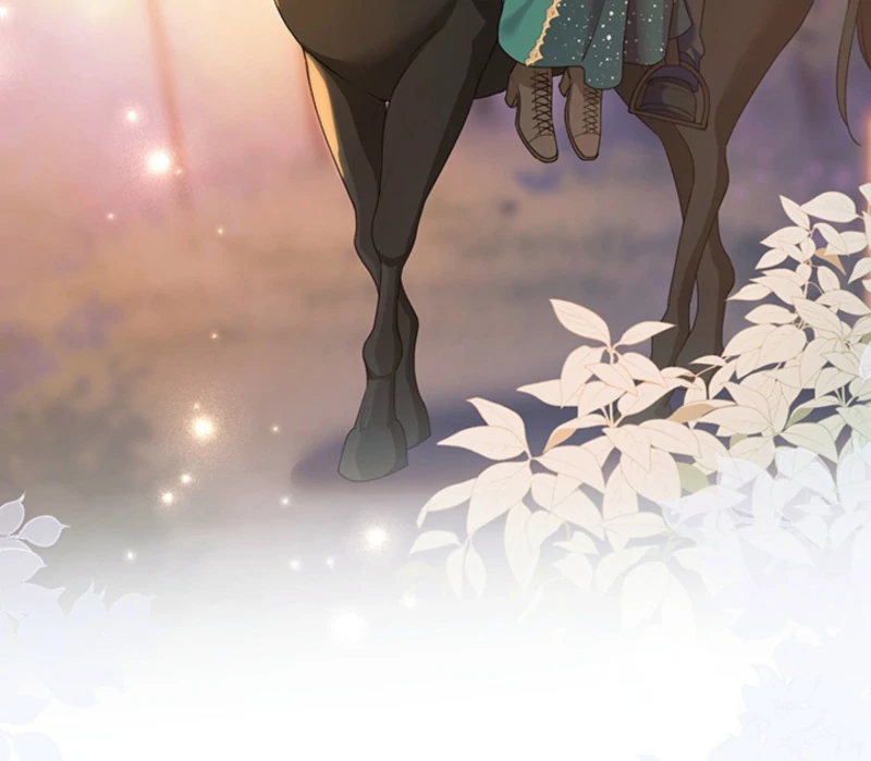 The Quiet Night You Disappeared: Nowhere to Run from the Husband I Divorce Chapter 16 - page 72