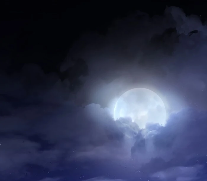 My Fiancé Keeps Trying To Raise Me Chapter 10 - page 102