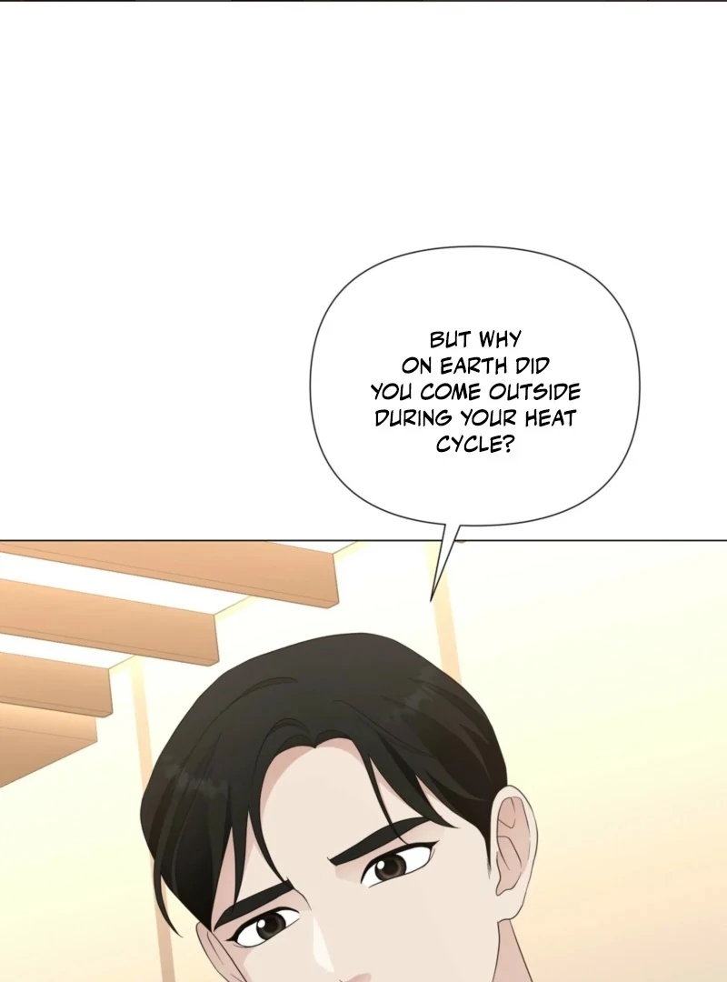 The CEO Caught Me in Heat Chapter 1 - page 105