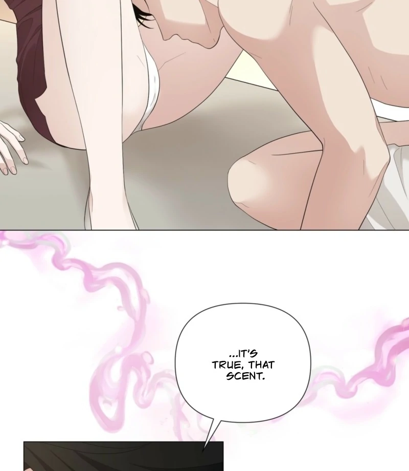 The CEO Caught Me in Heat Chapter 2 - page 4