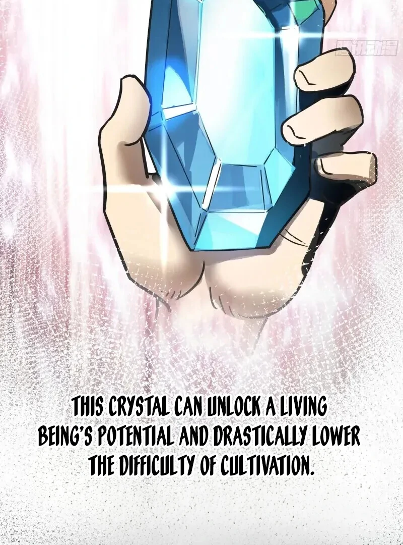 Don’t Mess with the Senior Brother Chapter 2 - page 17