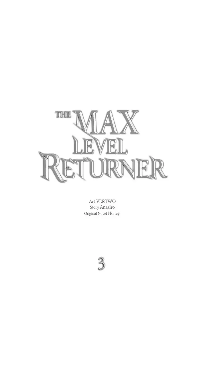 Max Level Returner Chapter 3 - page 13