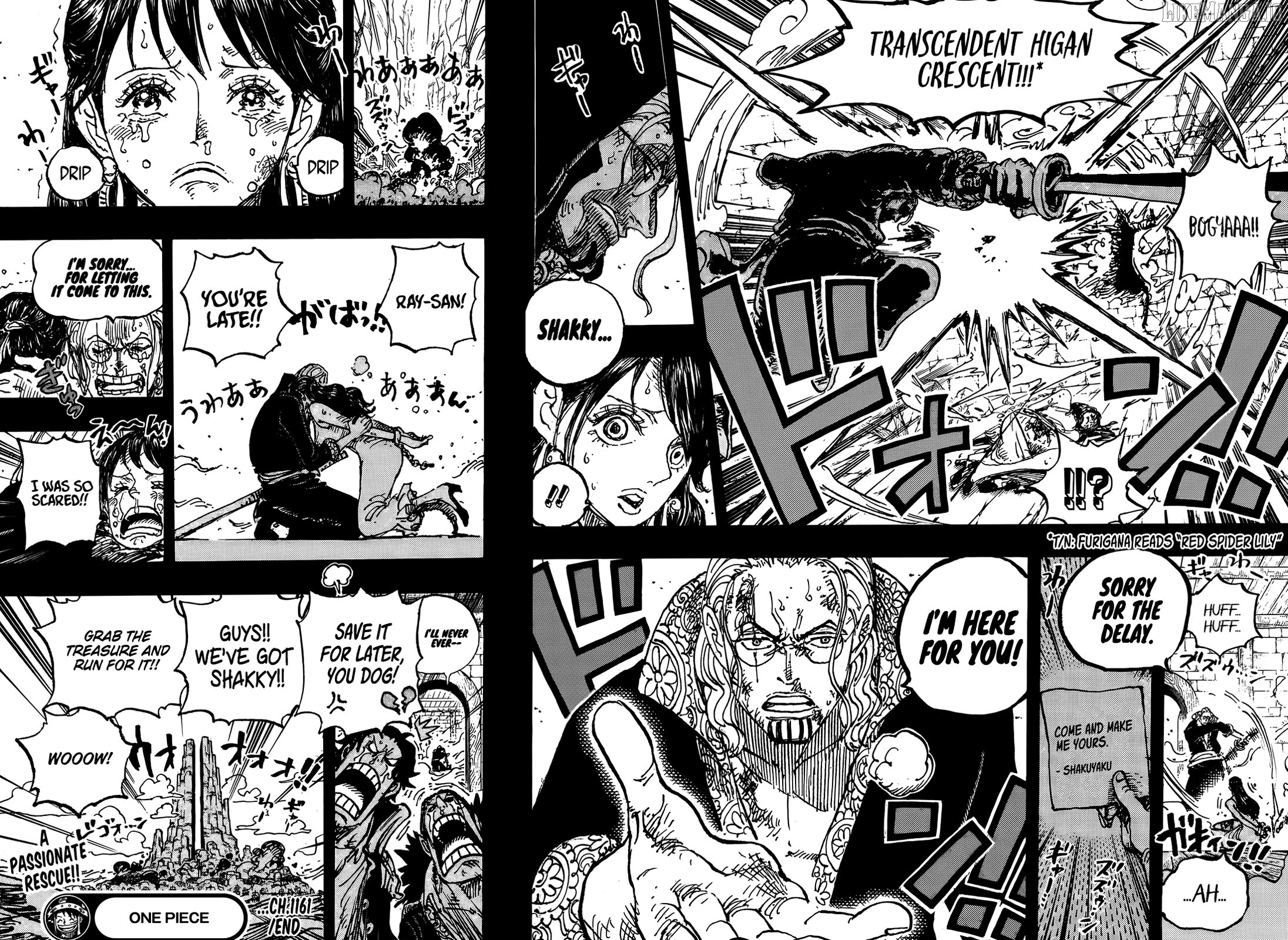 One Piece Chapter 1161 - page 16