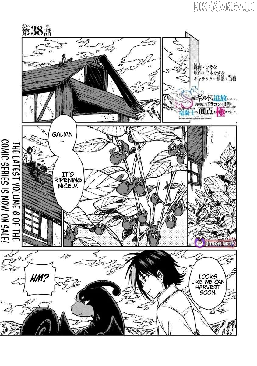 I've Been Kicked Out of an S-Rank Guild. But Only I Can Communicate With Dragons. Before I Knew It, I Became the Greatest Dragon Knight Chapter 38.1 - page 2