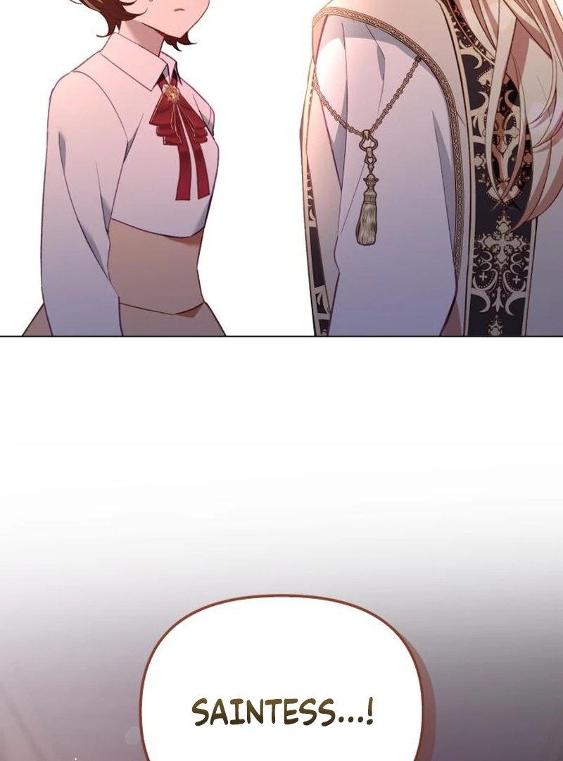 Protect the Fake Saint! Chapter 17 - page 11