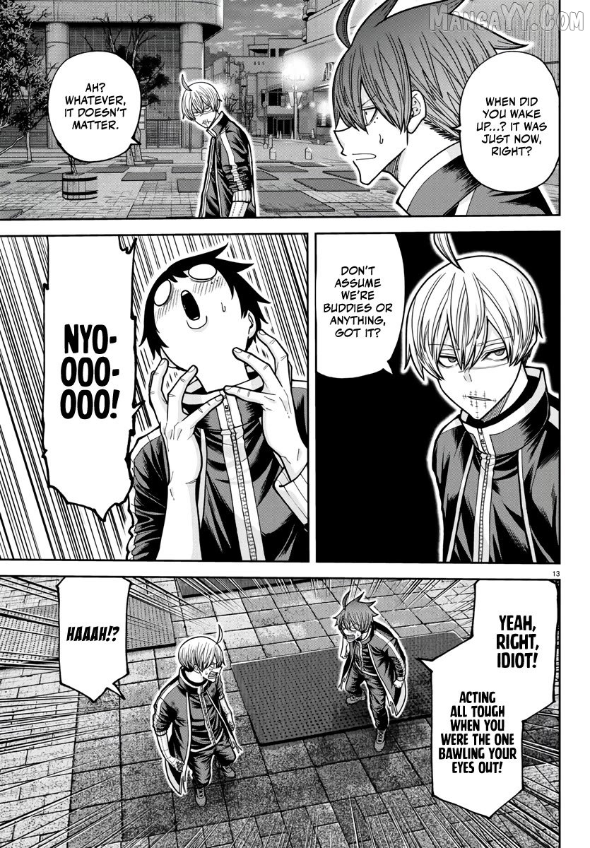 Tougen Anki Chapter 217 - page 13