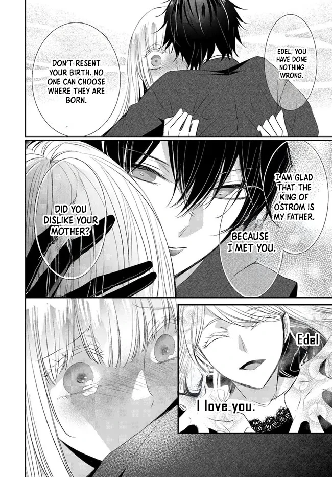 Kokurou Ou to Shirogane no Niehime Chapter 4 - page 13