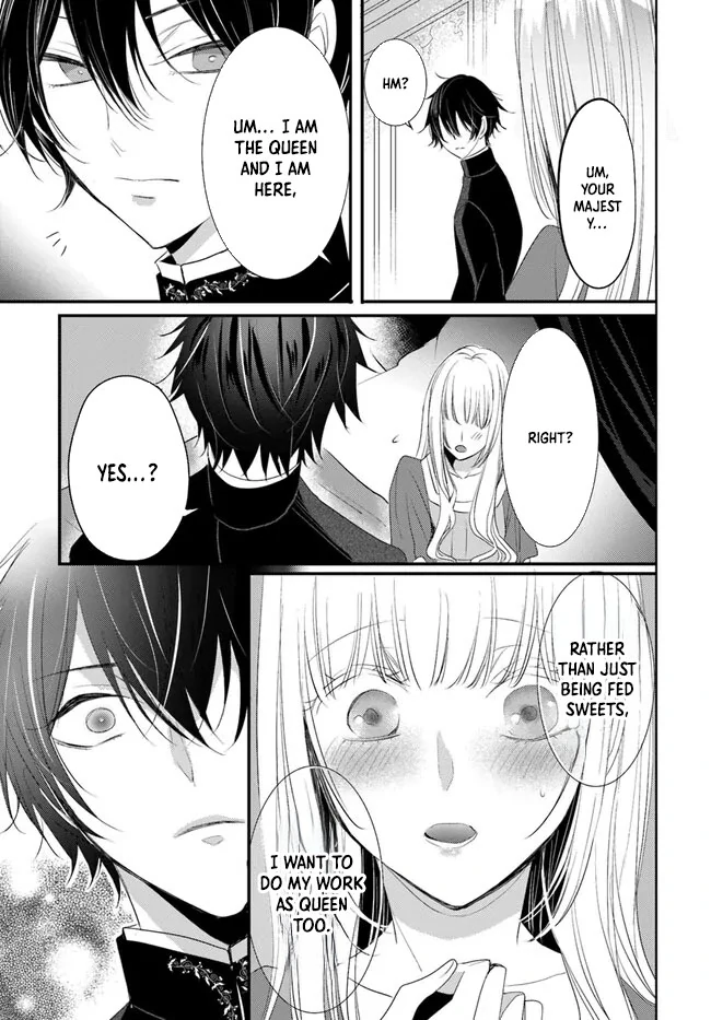 Kokurou Ou to Shirogane no Niehime Chapter 4 - page 26