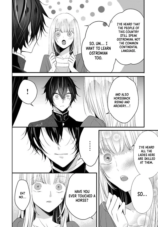 Kokurou Ou to Shirogane no Niehime Chapter 4 - page 27