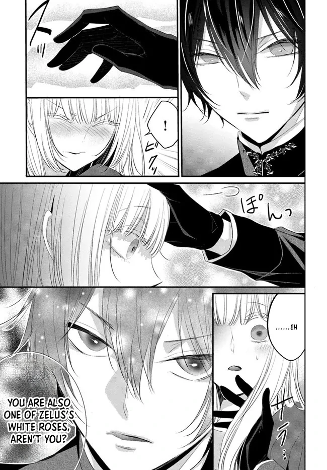 Kokurou Ou to Shirogane no Niehime Chapter 4 - page 8