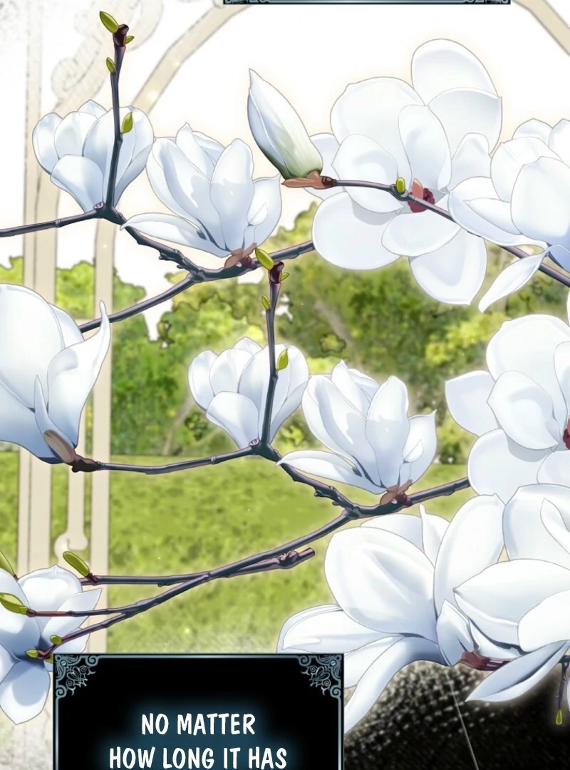 Villain Fiancé is in My Way of Happiness Chapter 70 - page 91