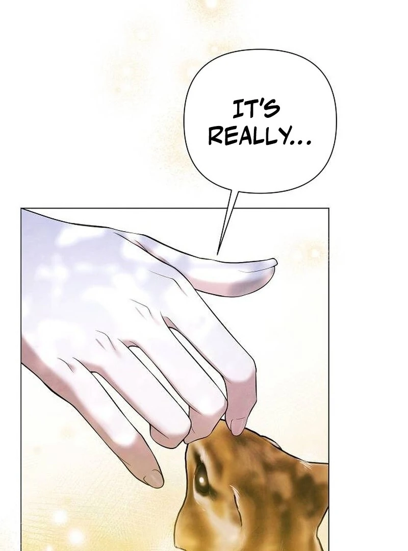 Now Come and Regret Chapter 64 - page 36