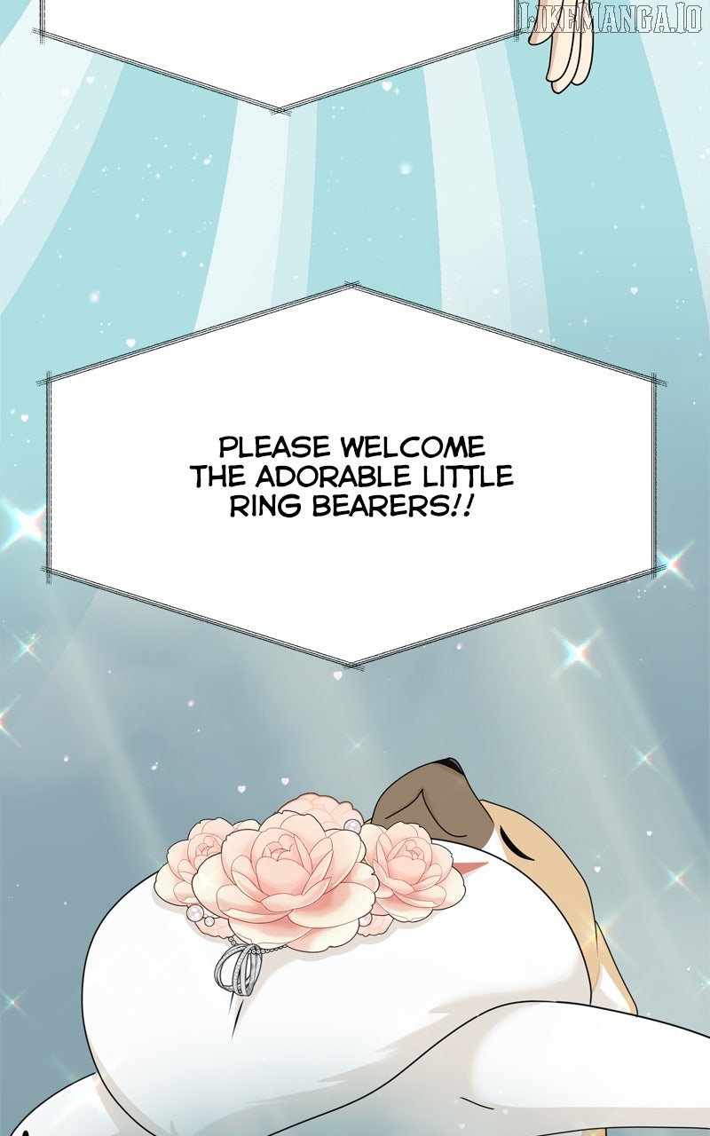 The Dog Diaries Chapter 227 - page 34