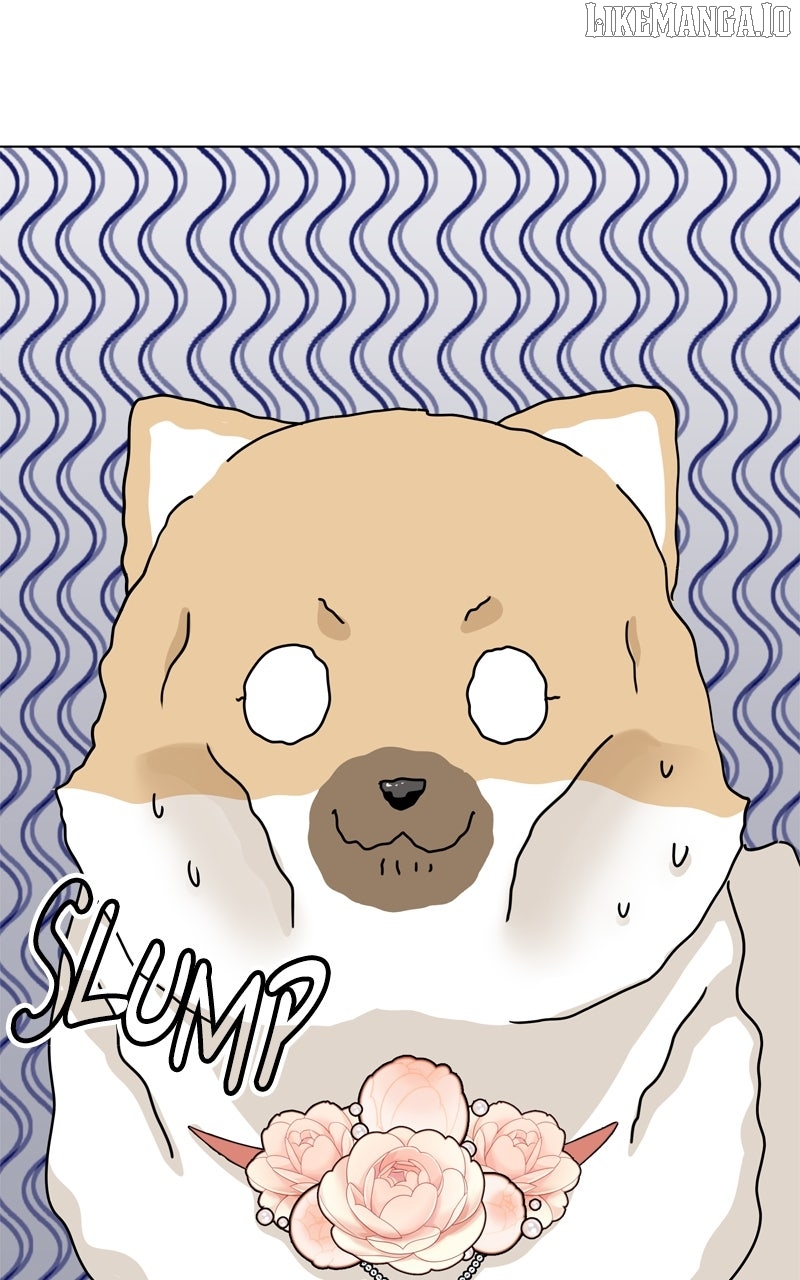 The Dog Diaries Chapter 227 - page 42