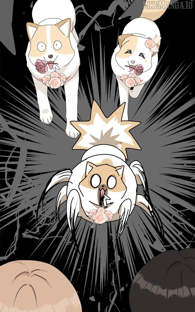 The Dog Diaries Chapter 227 - page 79