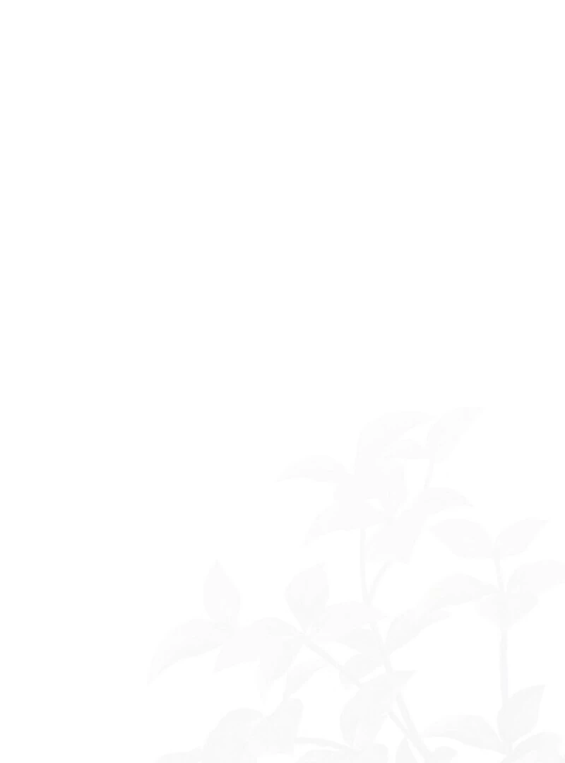 The Wicked Ladies in Waiting Chapter 58 - page 74