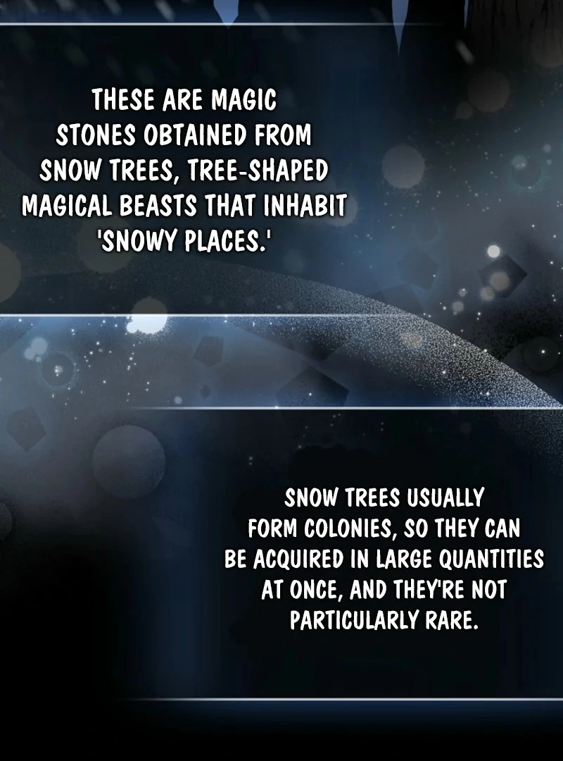 The Unintentionally Ideal Adopted Daughter Chapter 105 - page 63