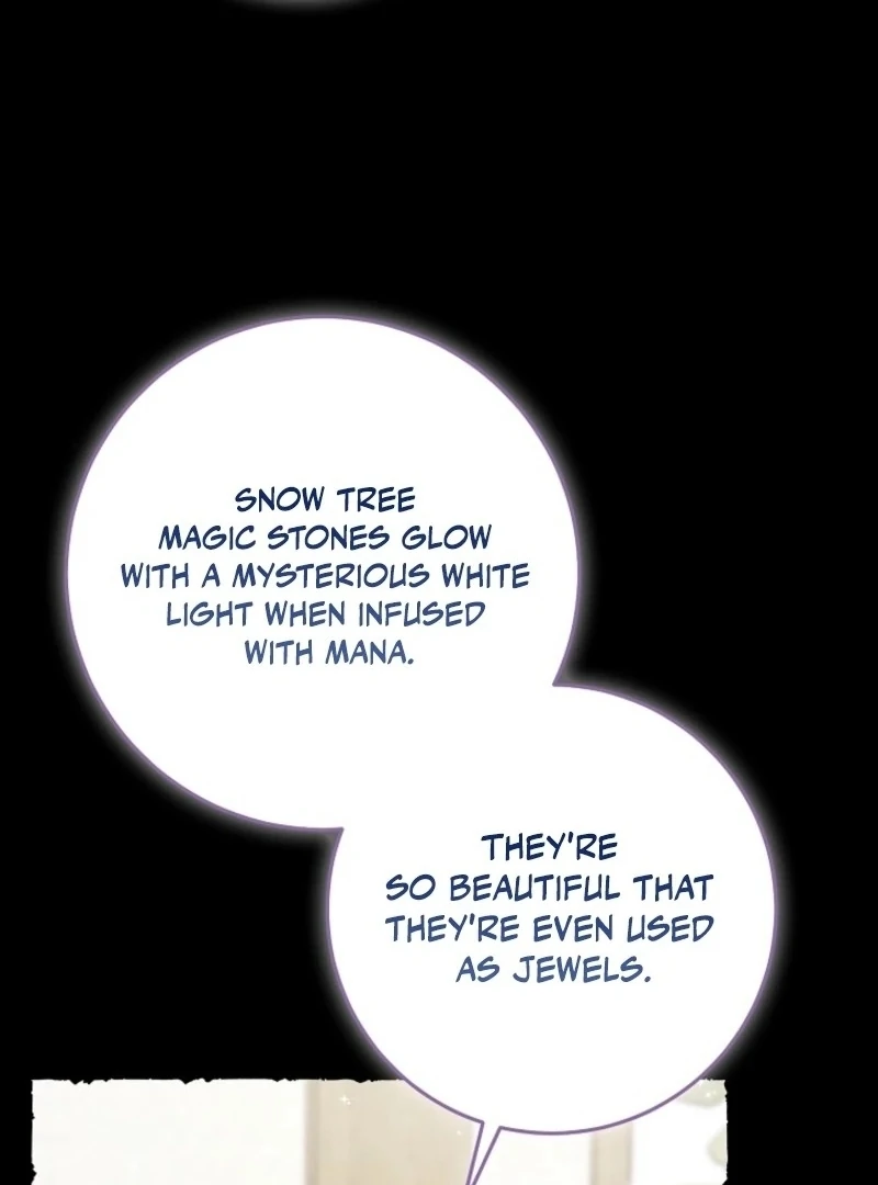 The Unintentionally Ideal Adopted Daughter Chapter 105 - page 67