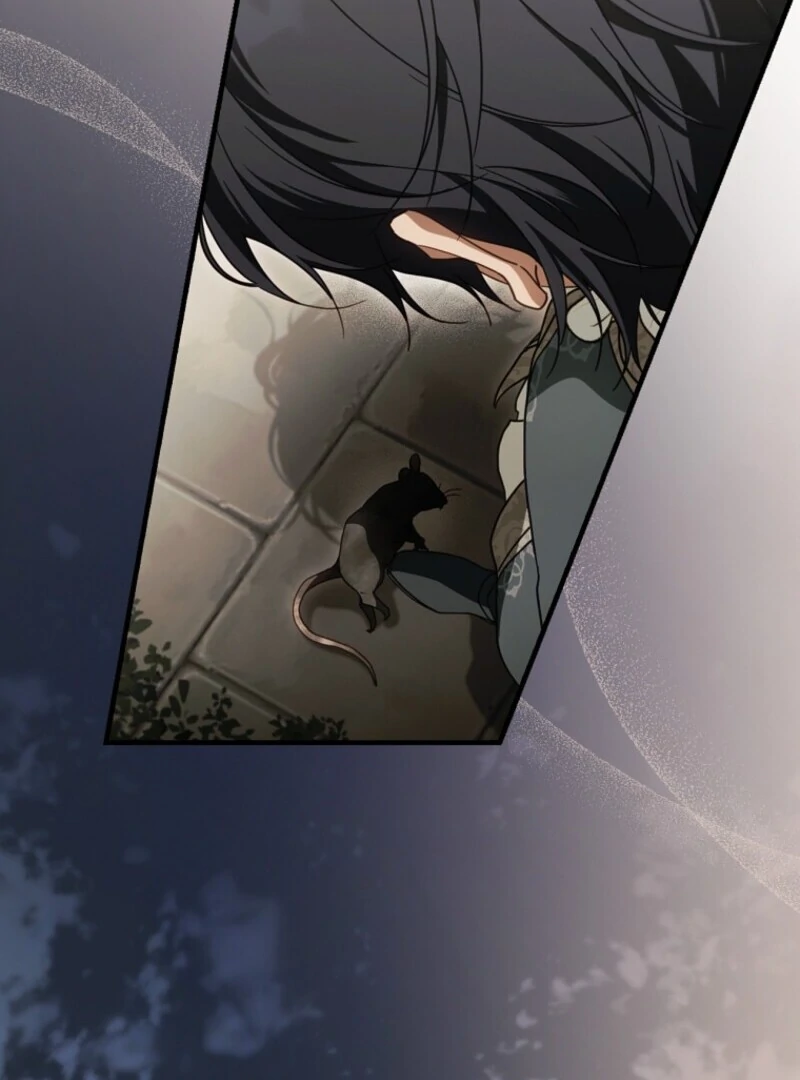 How to Get My Husband on My Side Chapter 122 - page 29