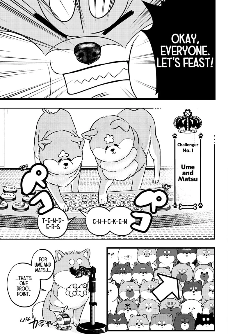 Shiba Inu Rooms Chapter 36 - page 11