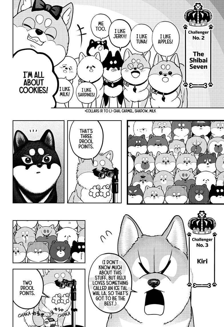Shiba Inu Rooms Chapter 36 - page 12