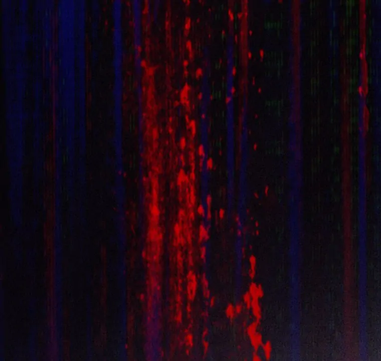 My Favorite Savior Girl Chapter 42 - page 67