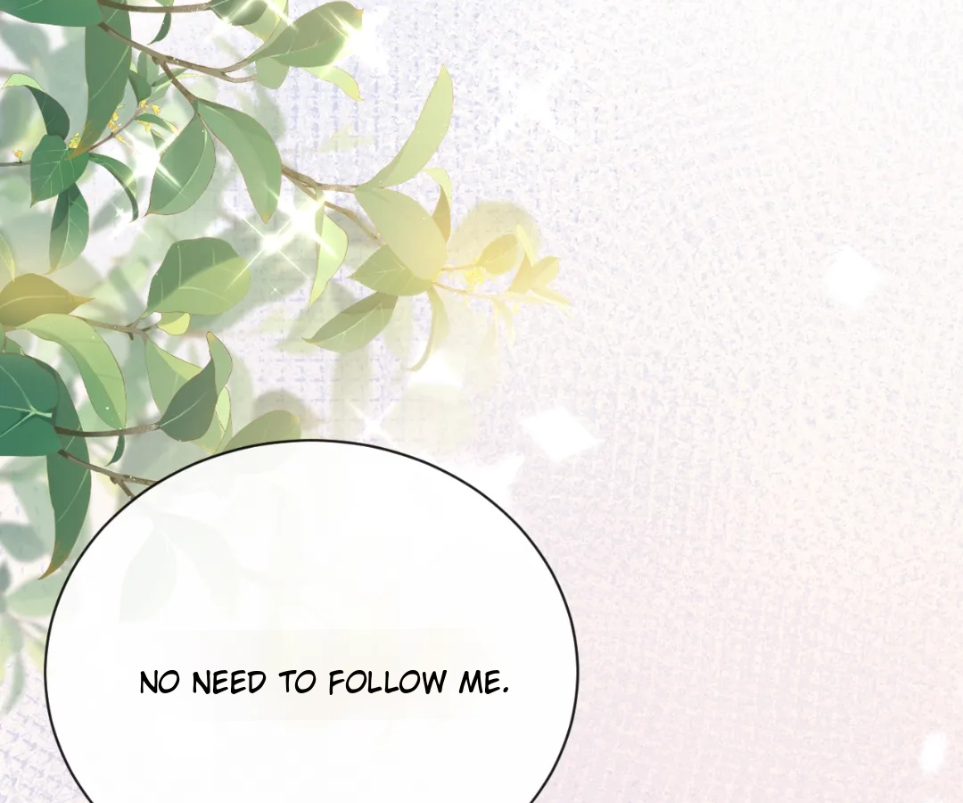 It Is Said That I Am a Fairy Princess Chapter 22 - page 46